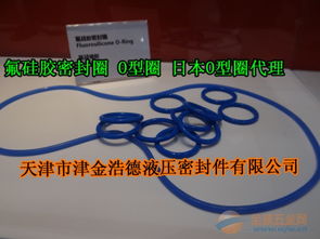 氟硅膠o型圈天津現(xiàn)貨,fvmq氟硅膠o型圈藍(lán)色氟膠密封圈批發(fā)